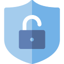 IT Security & Advisory